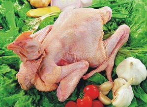 2015年全省白条鸡平均零售价格为22.47元 千克,上涨6.67